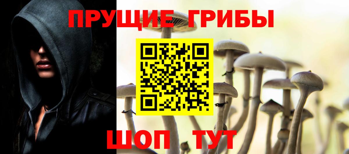 Псилоцибиновые грибы мухоморы  Вход с VPN  Подольск 